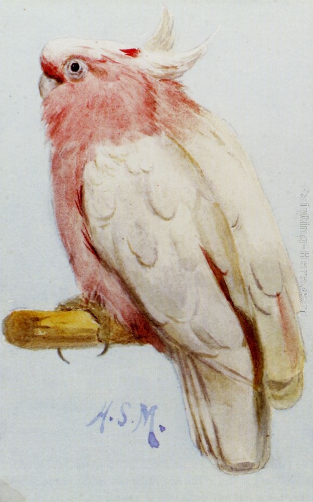 Henry Stacy Marks A Pair Of Leadbetter Cockatoos